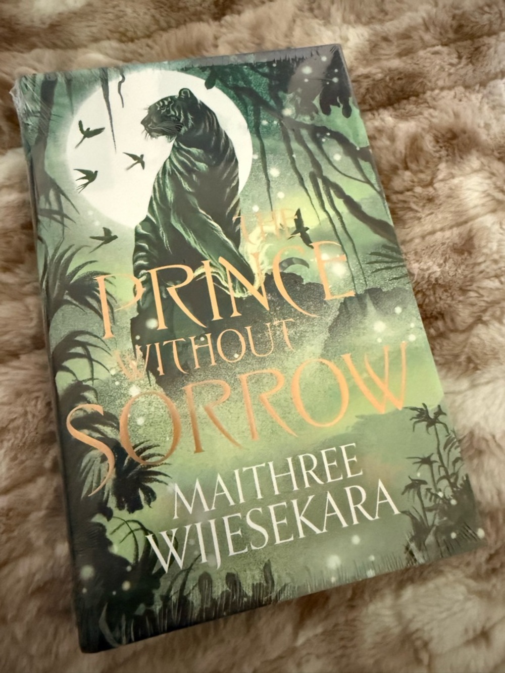 Prince Without Sorrow - Illumicrate NWT